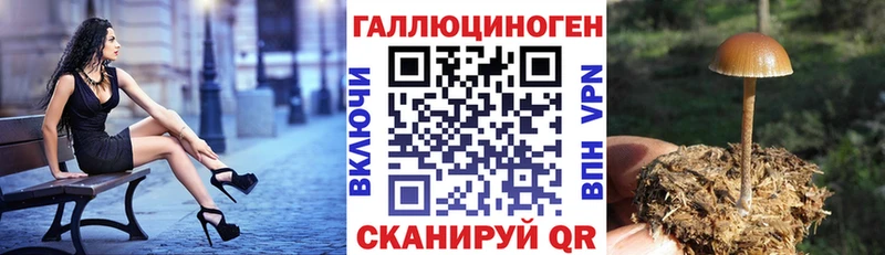 Псилоцибиновые грибы ЛСД  наркошоп  ссылка на мегу онион  Фатеж 